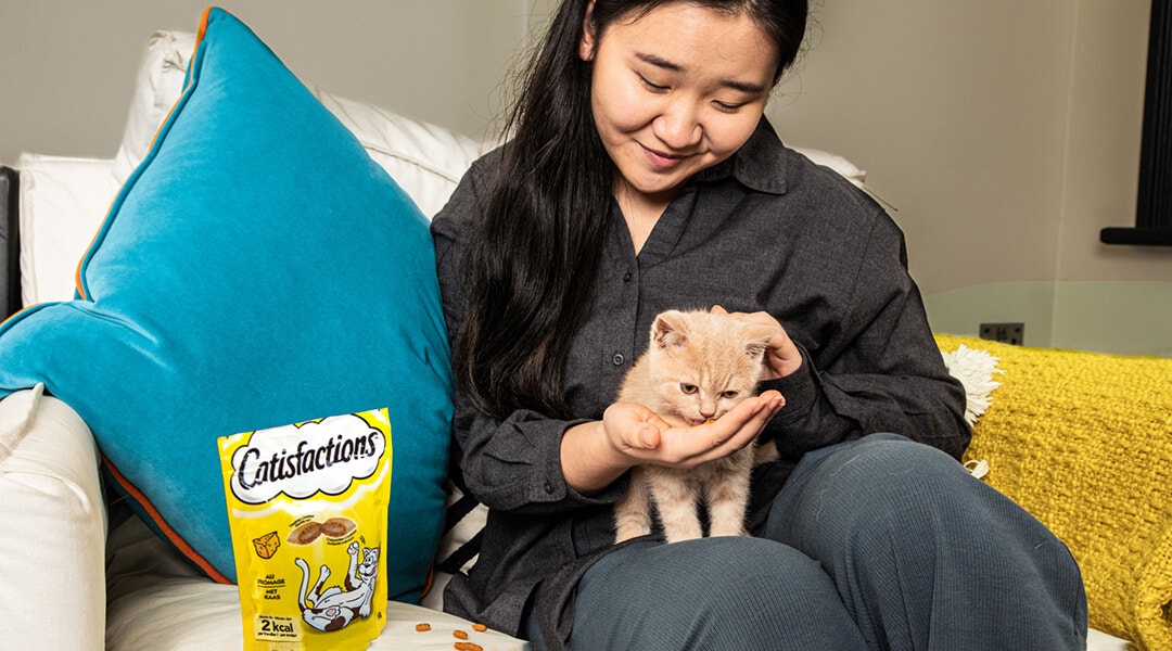 Comment choisir les friandises pour votre chaton