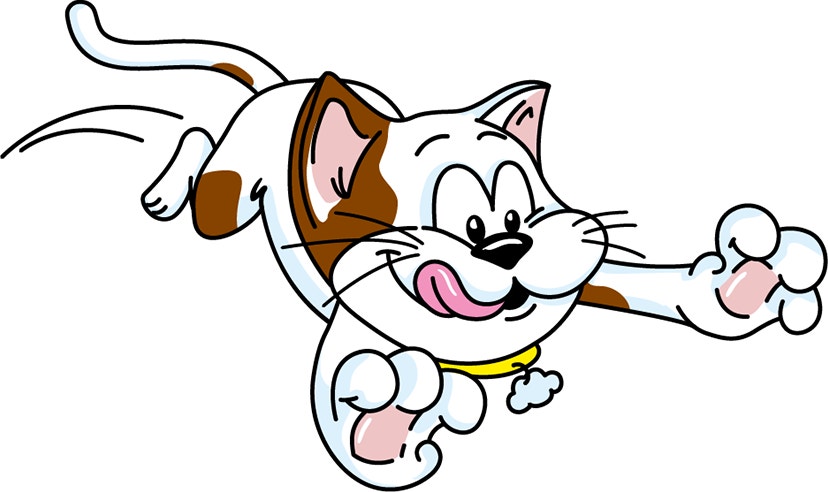 Irresistible for Cats and Kittens