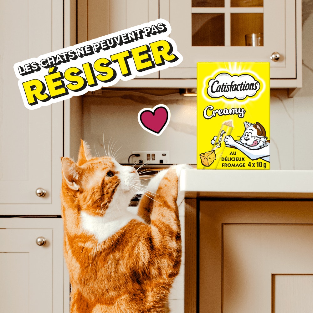 - Click to zoom in on the image