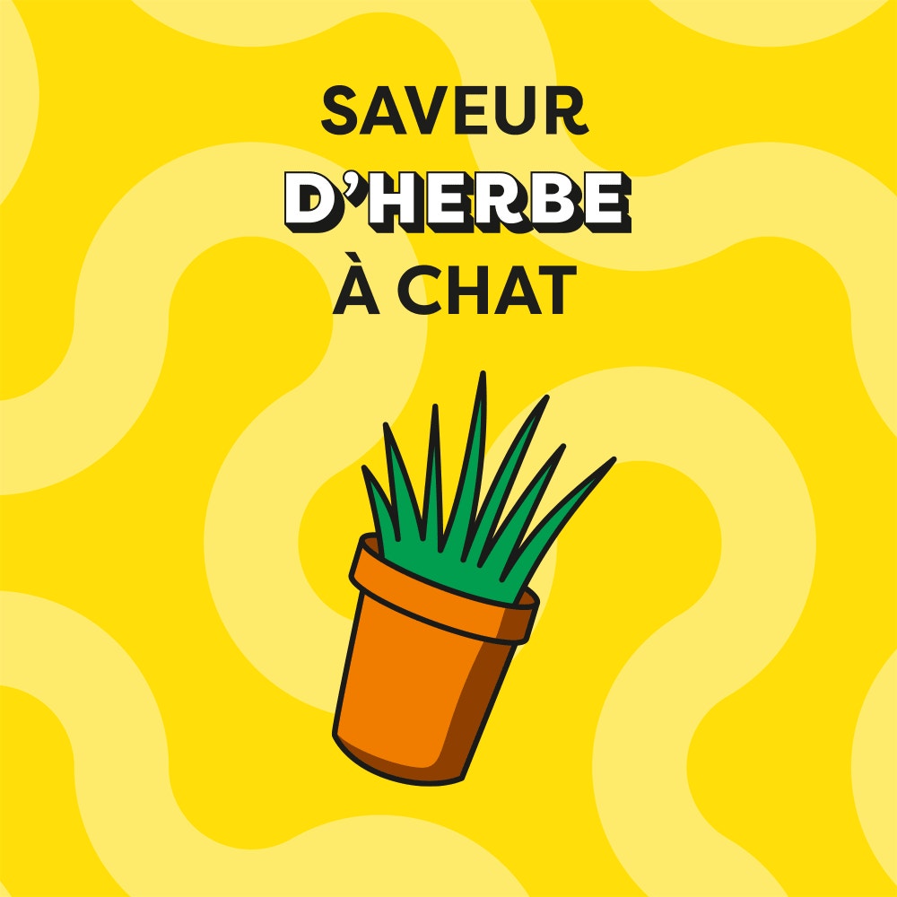  - Click to zoom in on the image