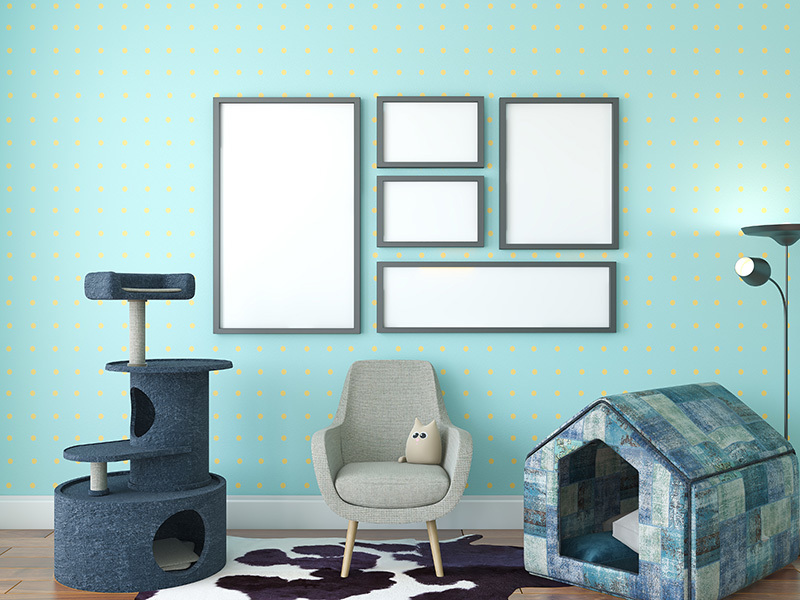 Maison pour chat : quel modèle choisir